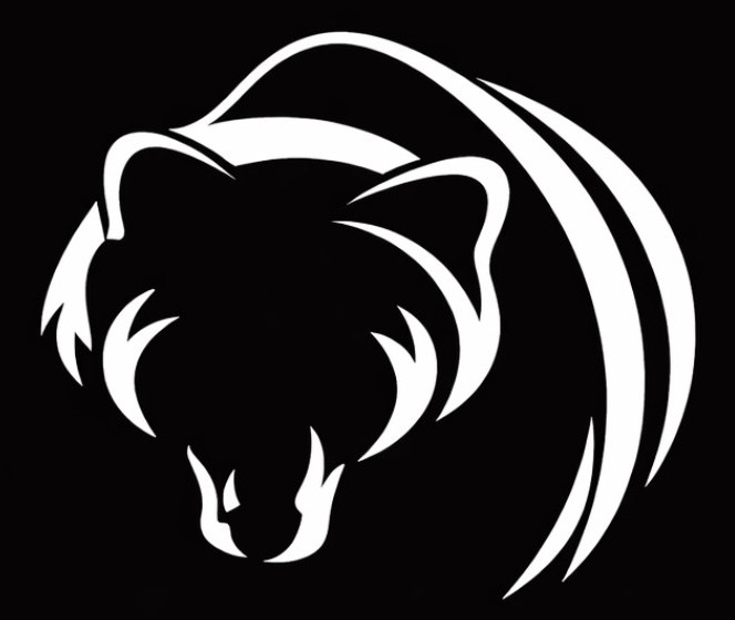 Black Bear Shield Group Ltd